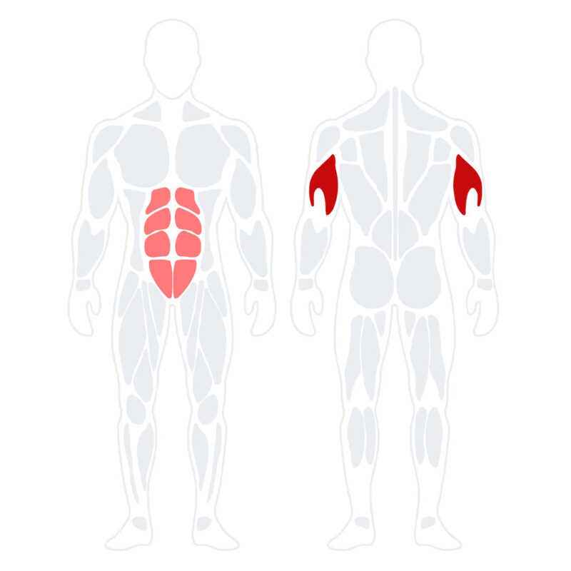 Seated Tricep Press Or Overhead Extension - เครื่องออกกําลังกาย Irontec