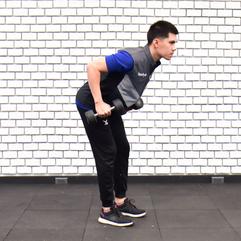 standing-two-armed-bent-over-dumbbell-rows
